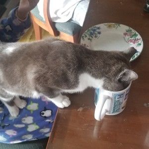 Meet your Posher, Val